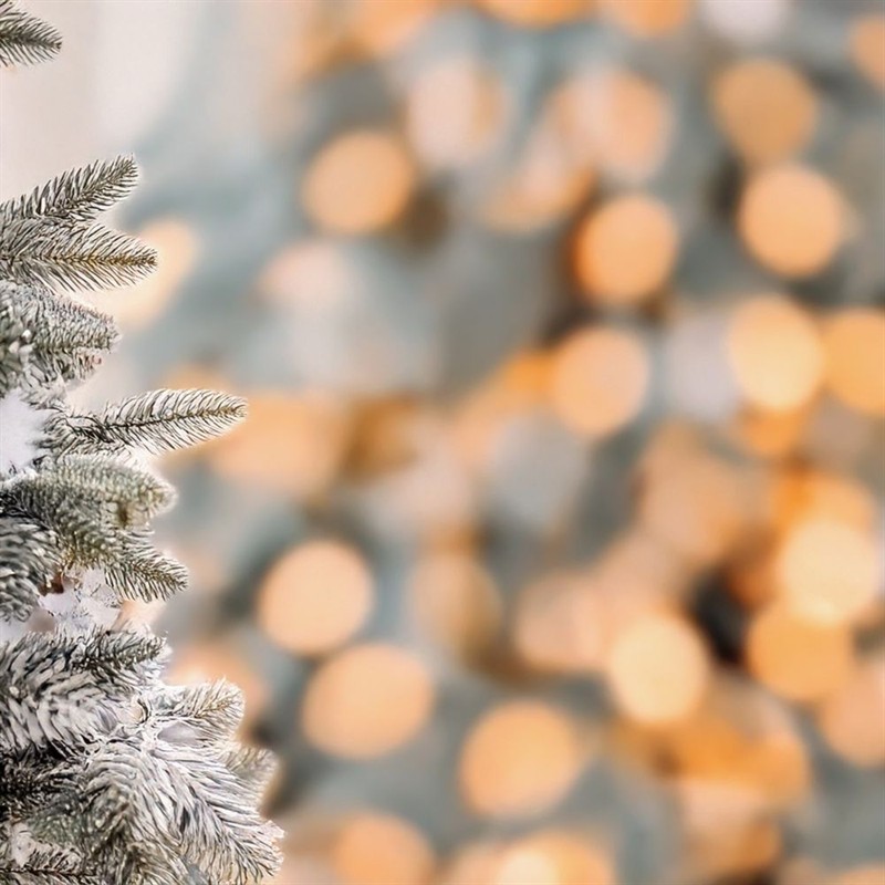 Christmas Gift Ideas